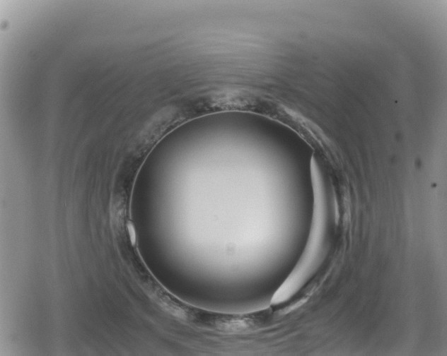 X0000080710513200612221146