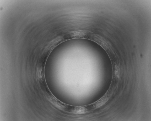 X0000080710514200612221146