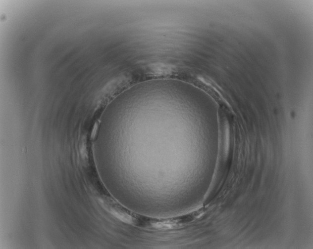 X0000080710516200612221146