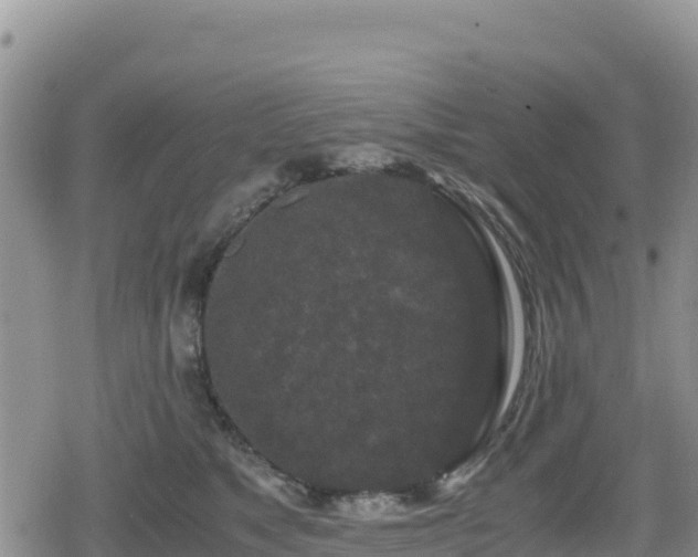 X0000080710517200612221146