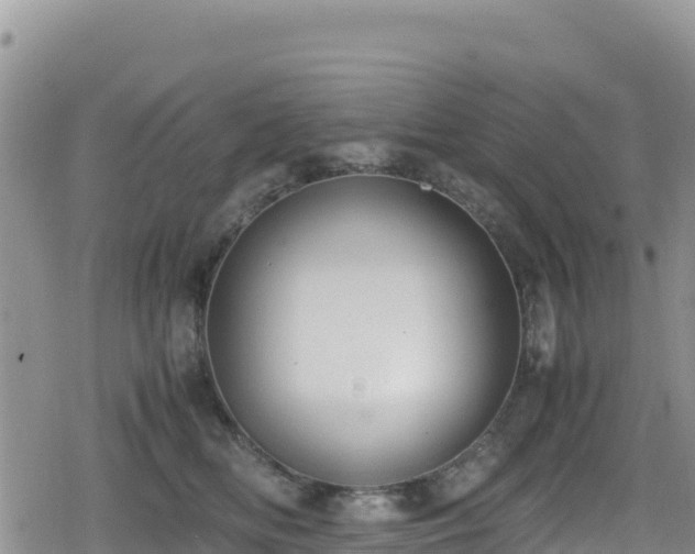 X0000080710518200612221146