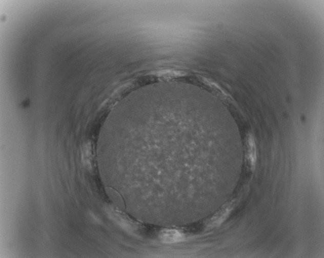 X0000080710519200612221146