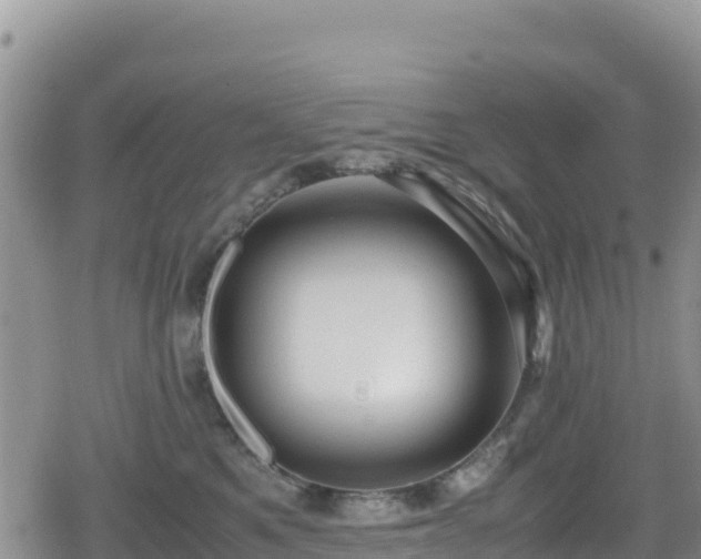 X0000080710521200612221146