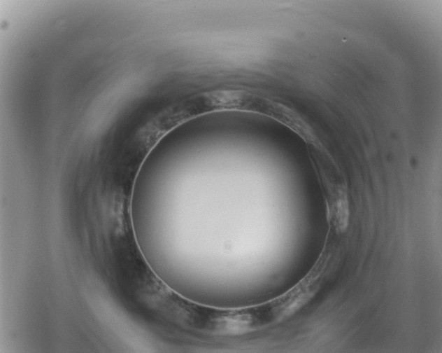 X0000080710525200612221146