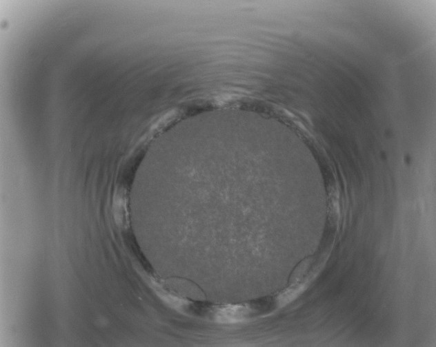 X0000080710527200612221146