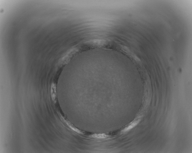 X0000080710528200612221146