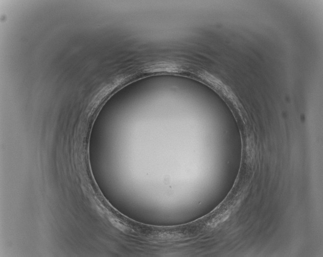 X0000080710529200612221145