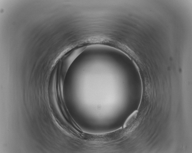 X0000080710530200612221145