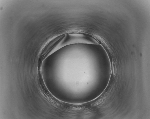 X0000080710531200612221145