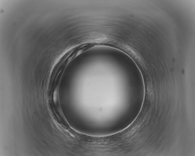 X0000080710532200612221145