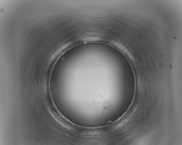 X0000080710533200612221145