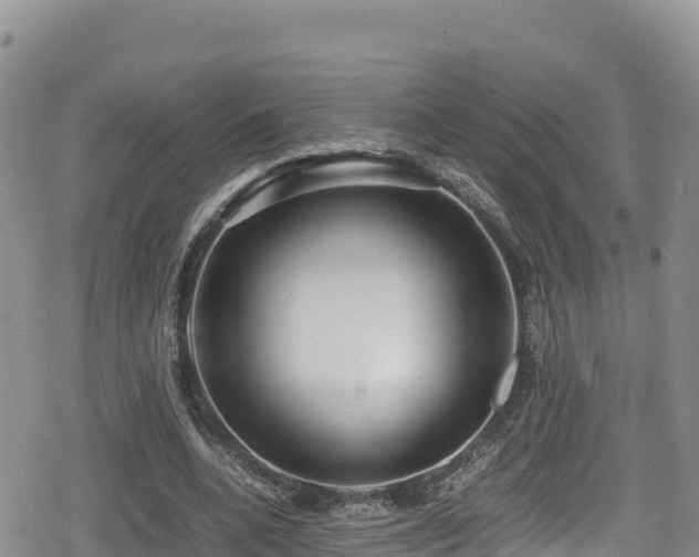 X0000080710536200612221145