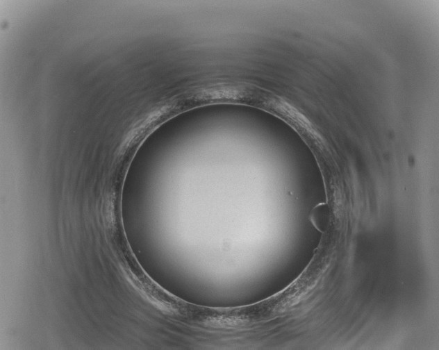 X0000080710537200612221145