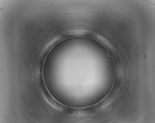 X0000080710538200612221145