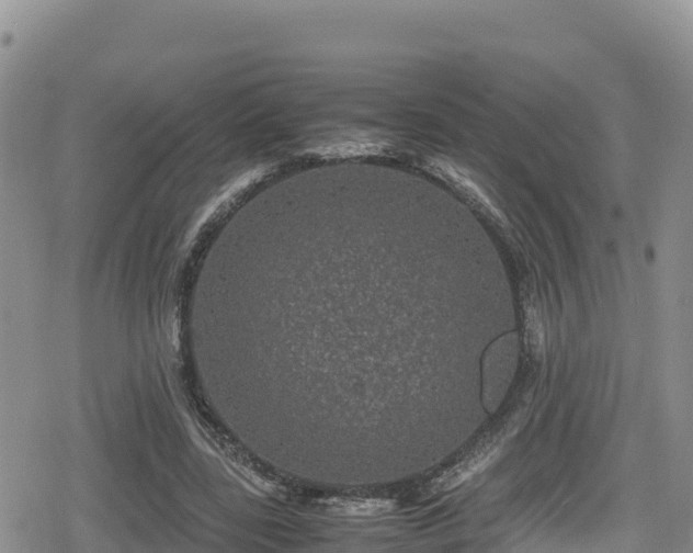 X0000080710539200612221145