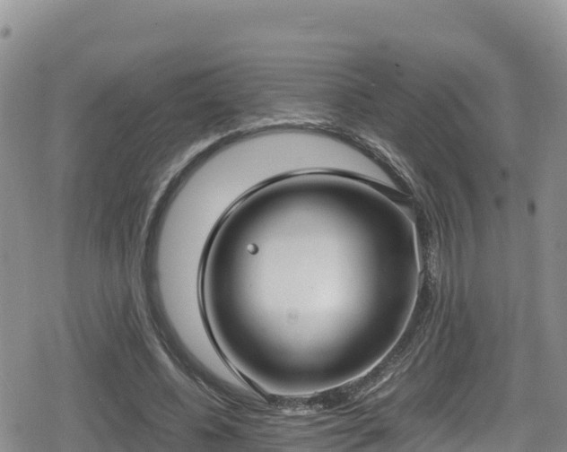 X0000080710540200612221145