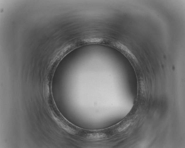 X0000080710541200612221145