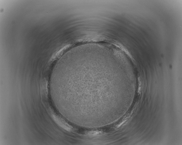 X0000080710542200612221145