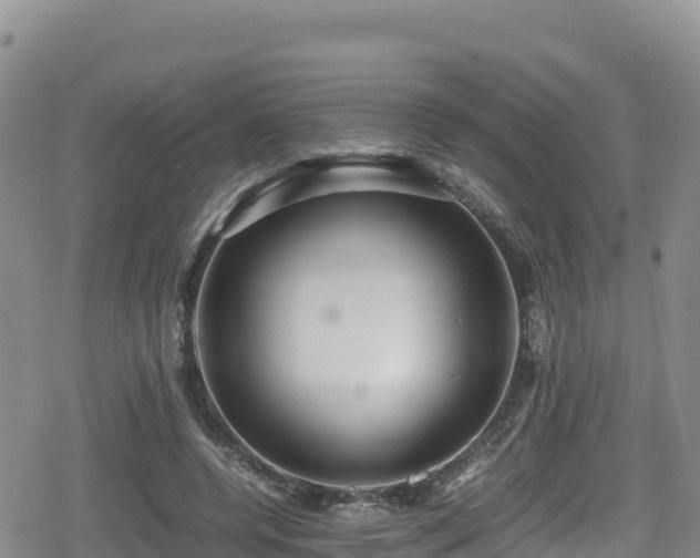 X0000080710544200612221145