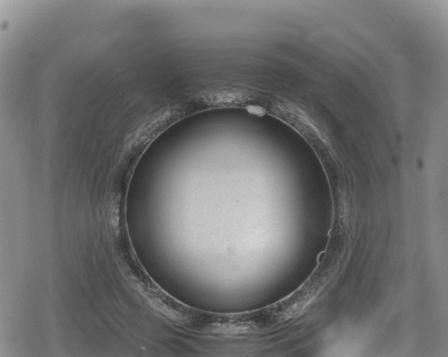 X0000080710545200612221145