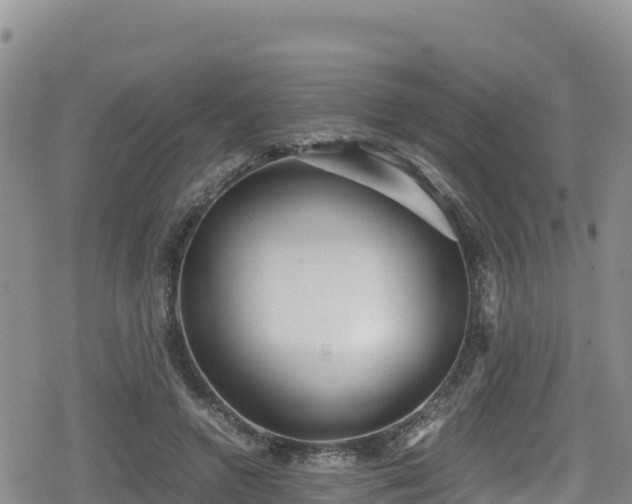 X0000080710546200612221145