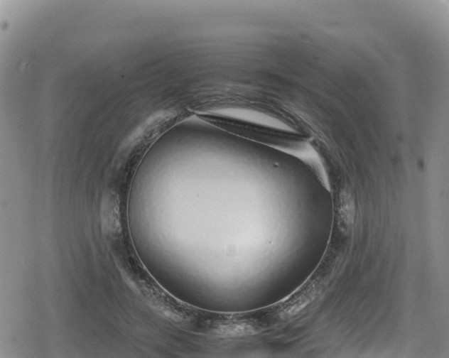 X0000080710547200612221145