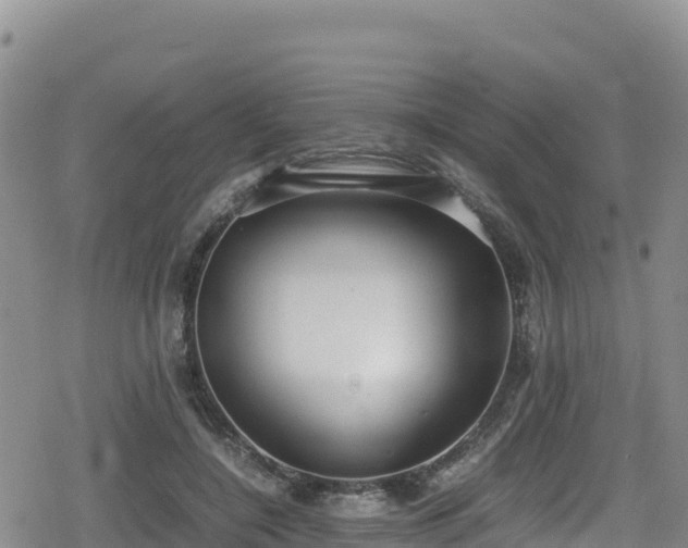 X0000080710548200612221145