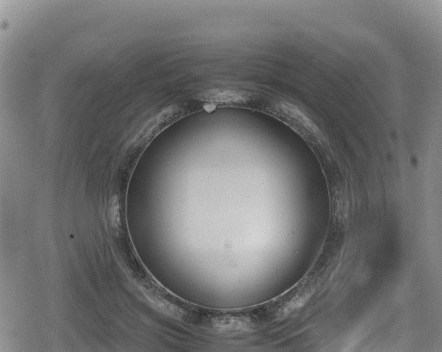 X0000080710549200612221145