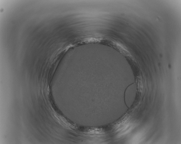 X0000080710550200612221145