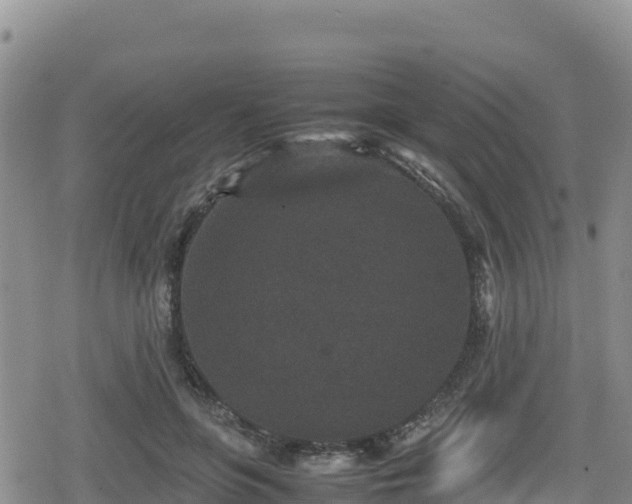 X0000080710551200612221145