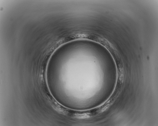 X0000080710553200612221145