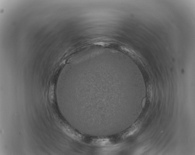 X0000080710554200612221145