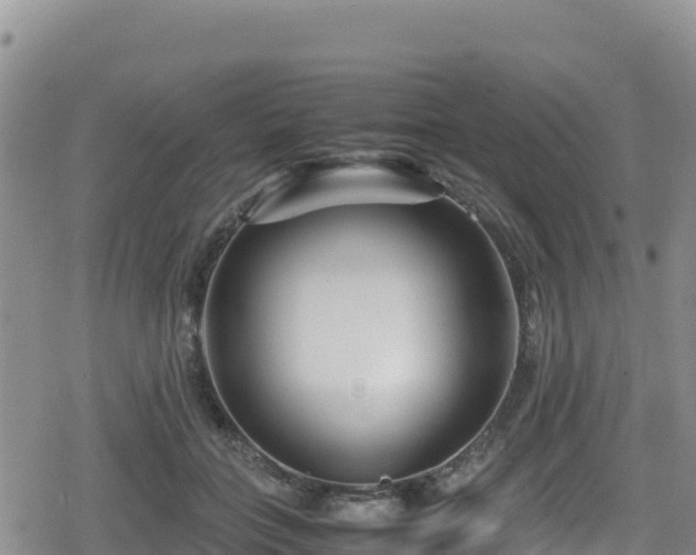 X0000080710555200612221145