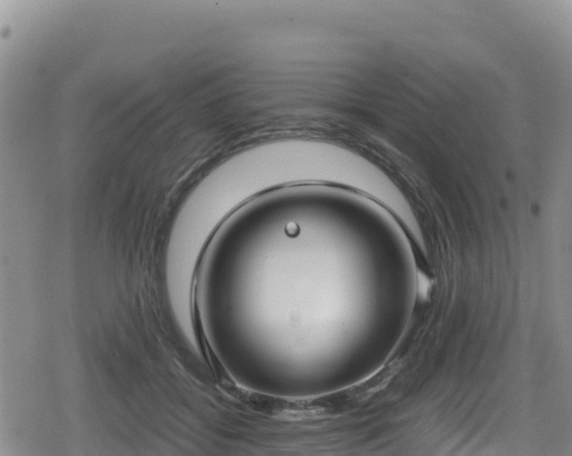 X0000080710556200612221145