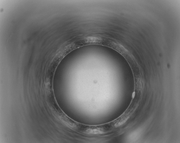 X0000080710557200612221145