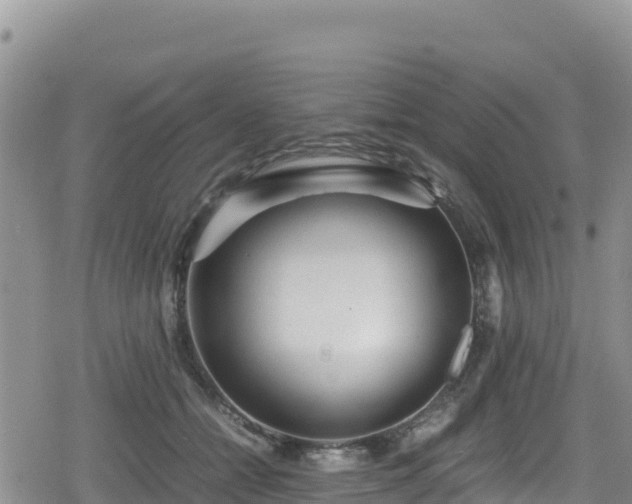 X0000080710558200612221145