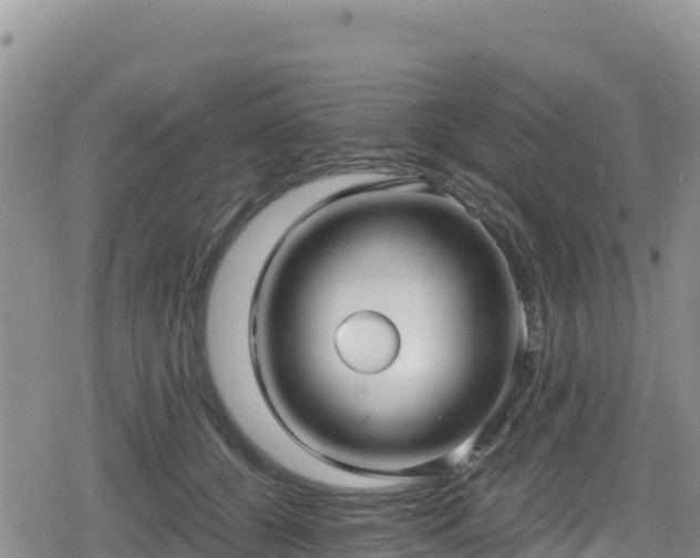 X0000080710560200612221145