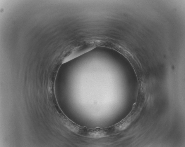 X0000080710561200612221145