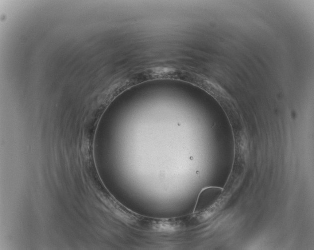 X0000080710565200612221145