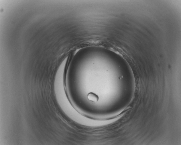 X0000080710568200612221146