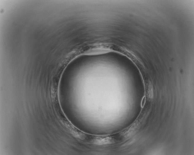 X0000080710569200612221146