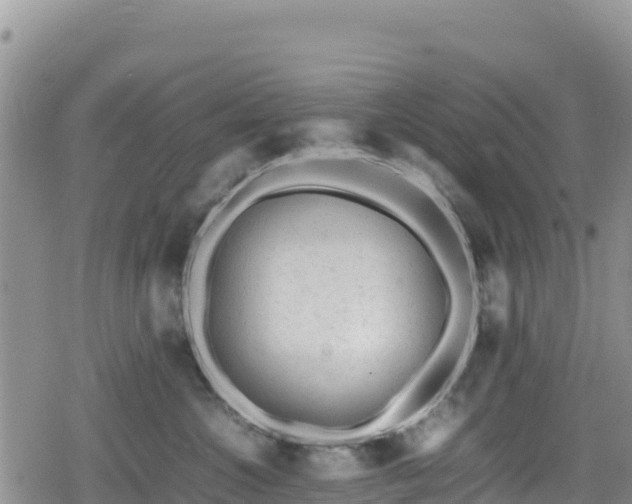 X0000080710572200612221146