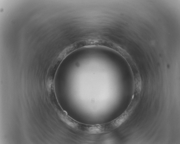 X0000080710574200612221146