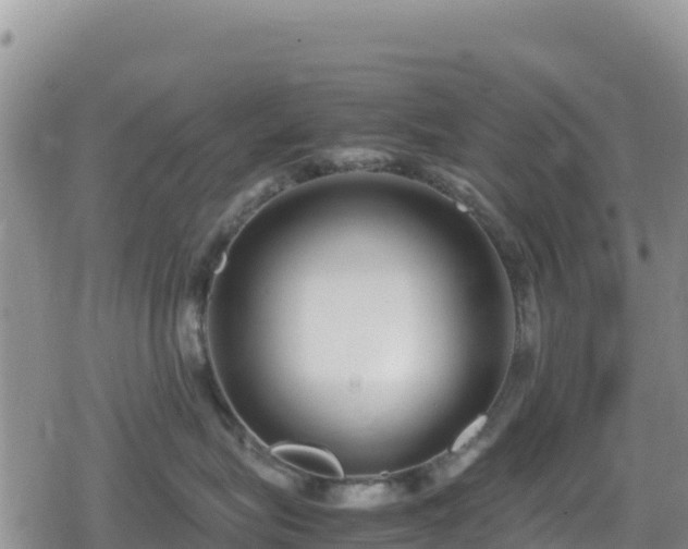 X0000080710575200612221146