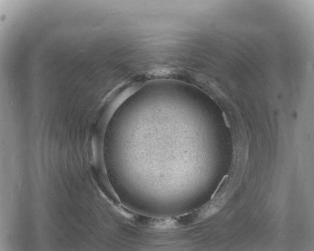 X0000080710576200612221146