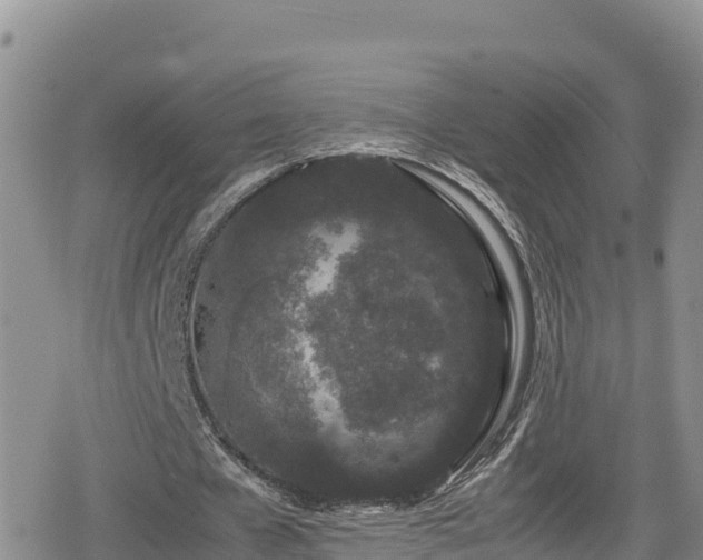 X0000080710577200612221145