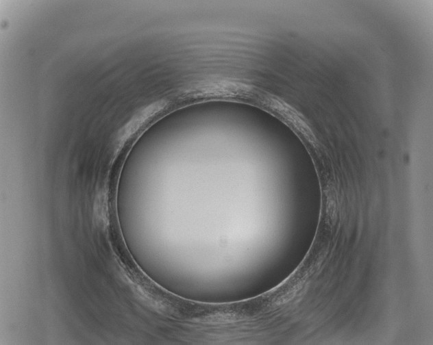 X0000080710578200612221145