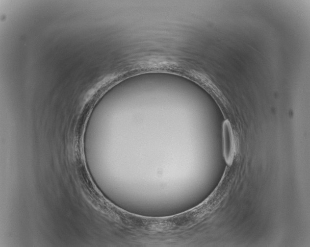 X0000080710579200612221145