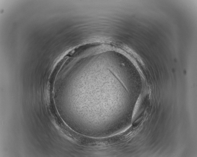 X0000080710580200612221145