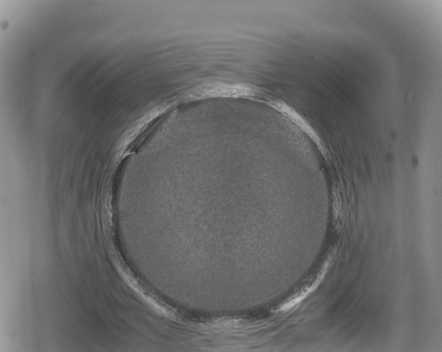 X0000080710581200612221145